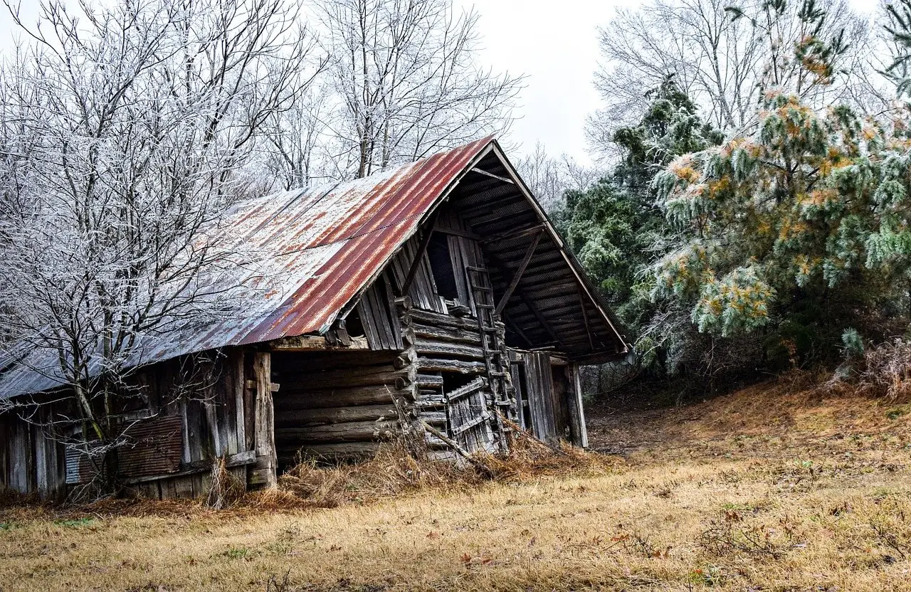 An old timber barn with a rusted tin roof standing in a frosted winter field