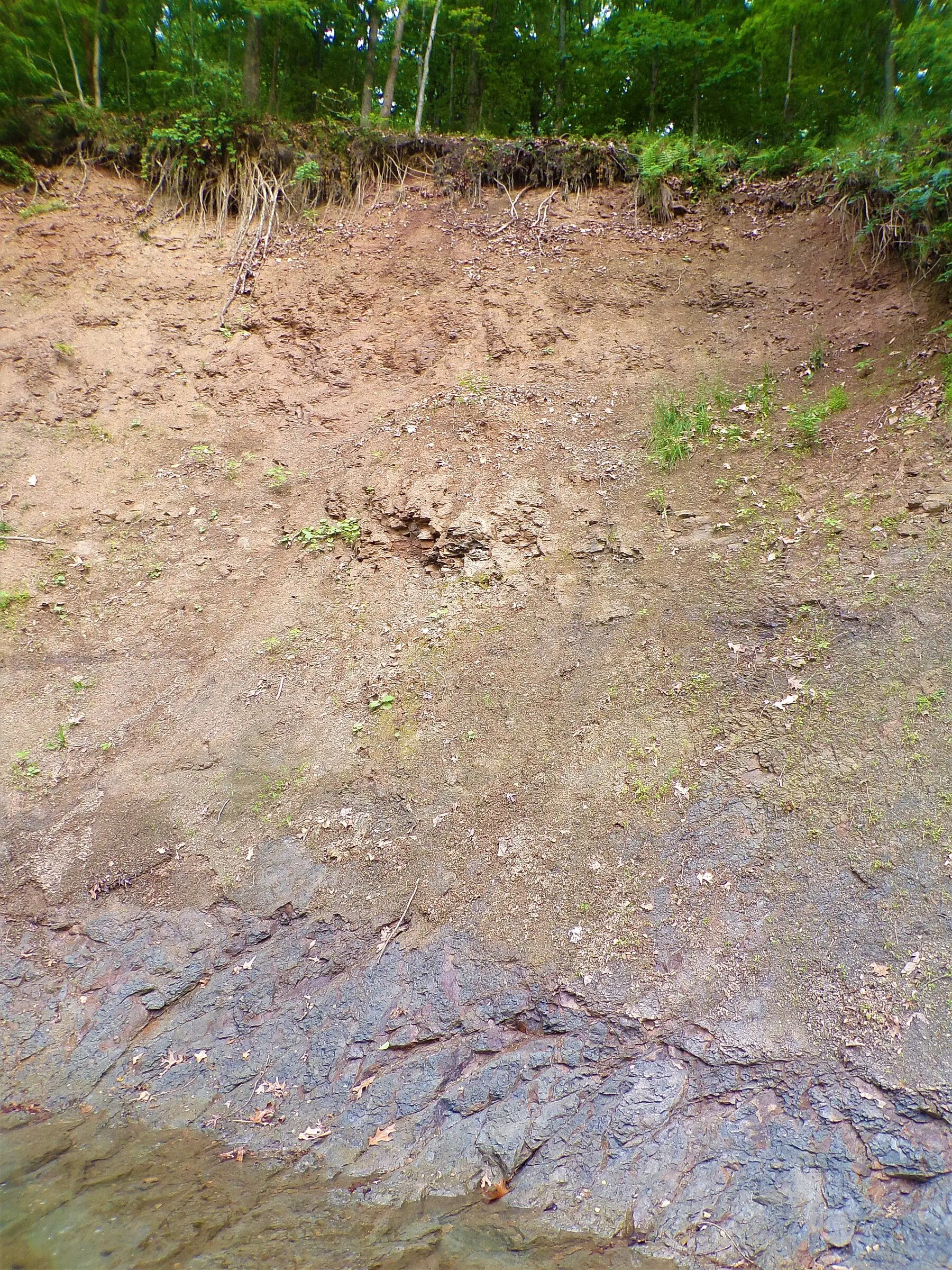 An exposed bank showing a pale silt layer over bedrock