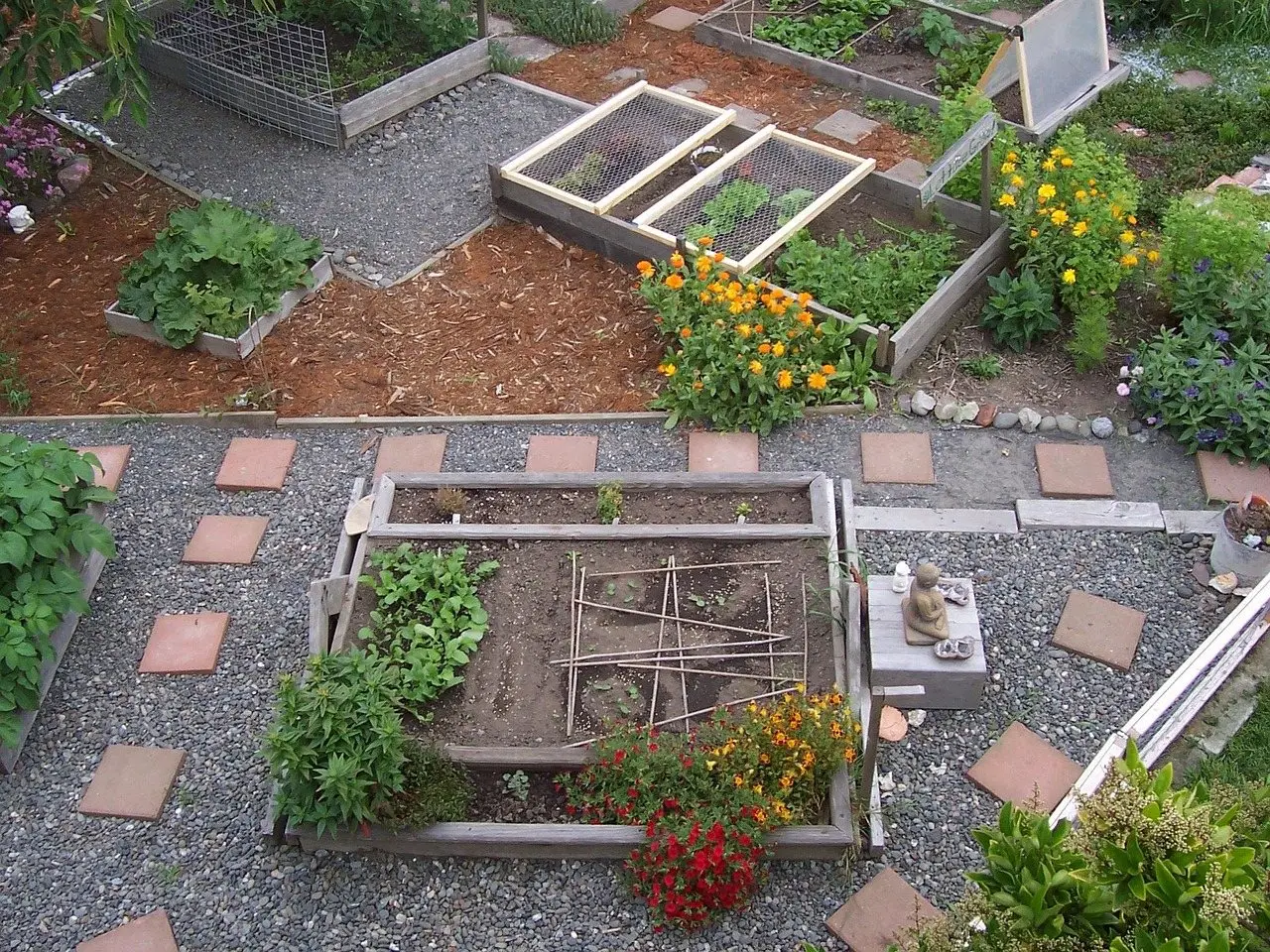 A vegetable garden of raised frames separated by gravel paths