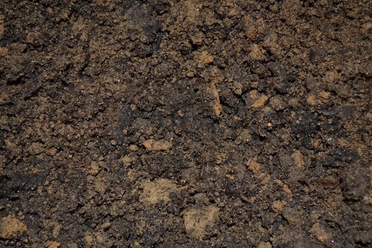 Potting soil mix hands