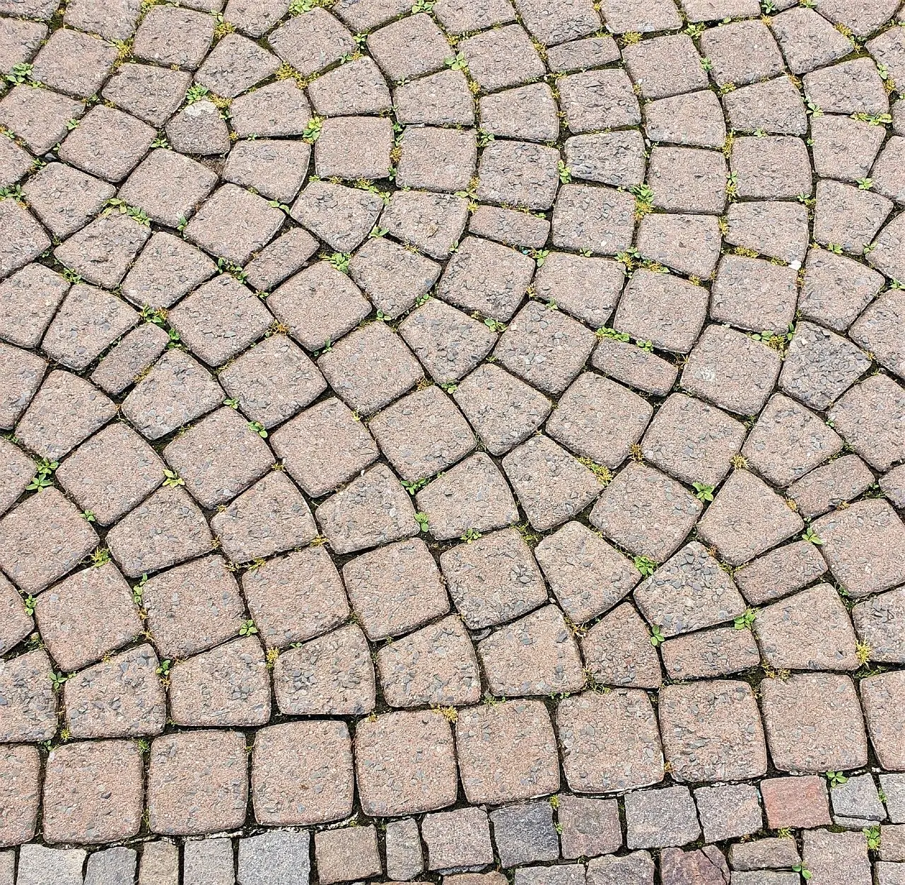 Weeds and grass growing through the joints of a fan-patterned cobblestone pavement