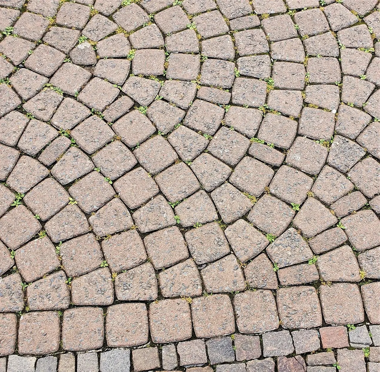 Weeds and grass growing through the joints of a fan-patterned cobblestone pavement