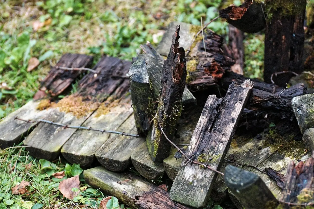 A collapsed timber fence, the boards grey, split and overgrown with moss and lichen