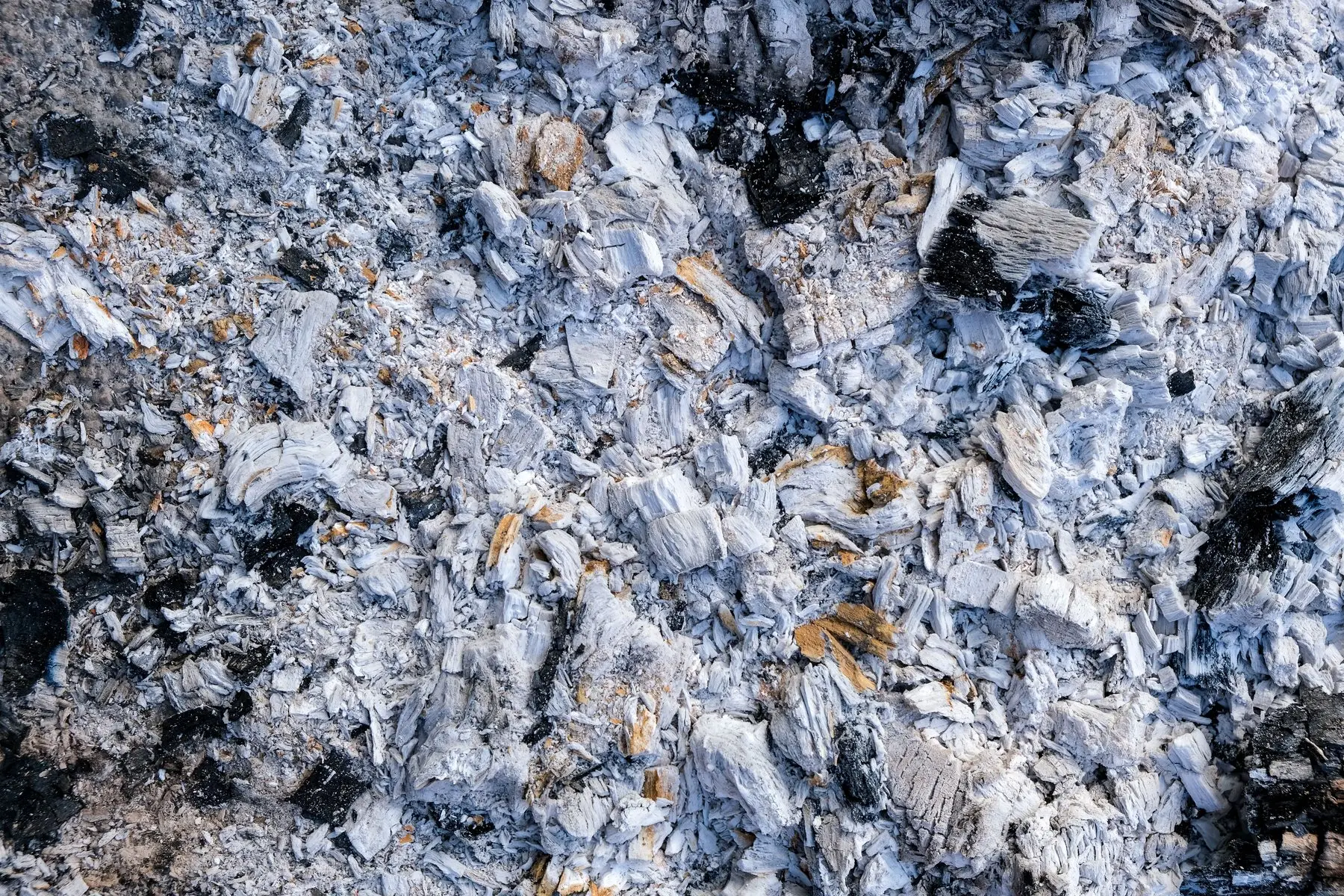 Pale grey wood ash with charred fragments of partly burnt wood mixed through it