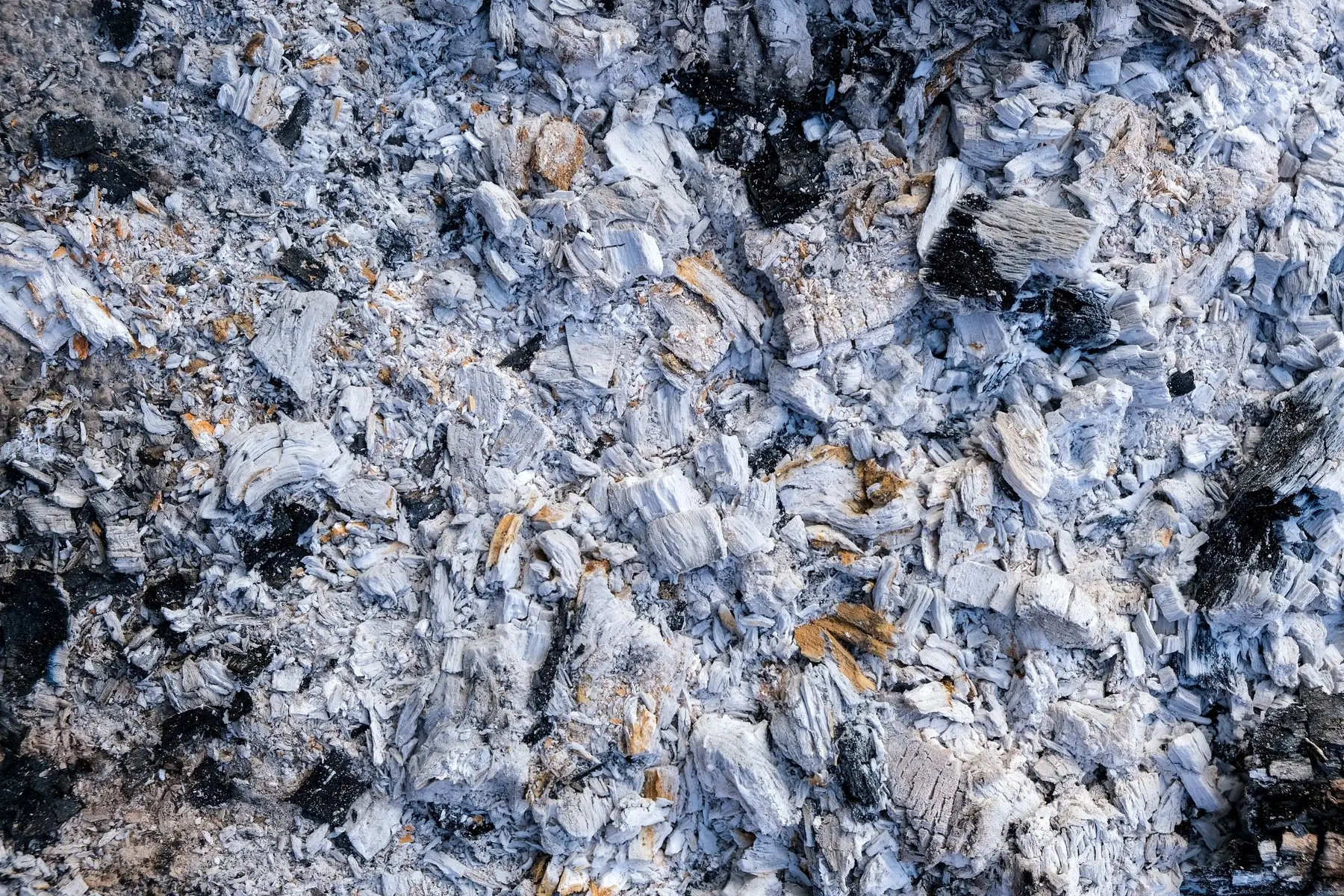 Pale grey wood ash with charred fragments of partly burnt wood mixed through it