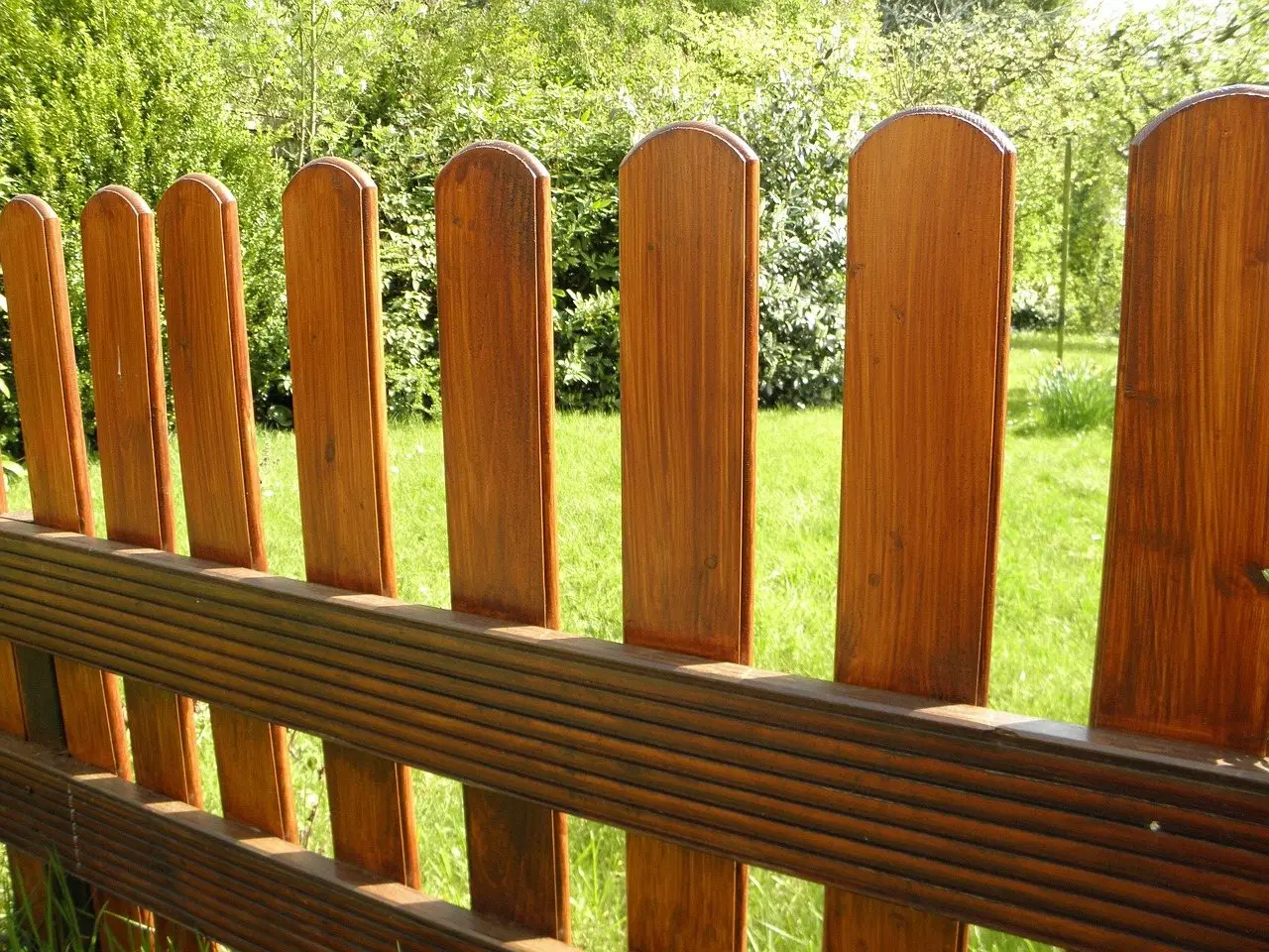 A freshly treated timber picket fence with a warm orange finish, lawn beyond