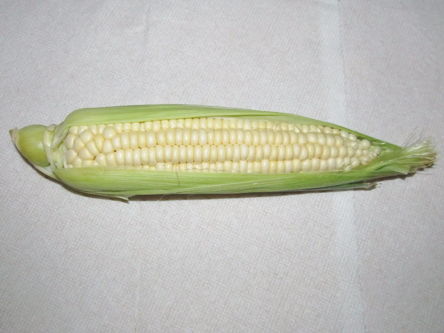 A sweetcorn cob with the husk peeled back to show the kernels