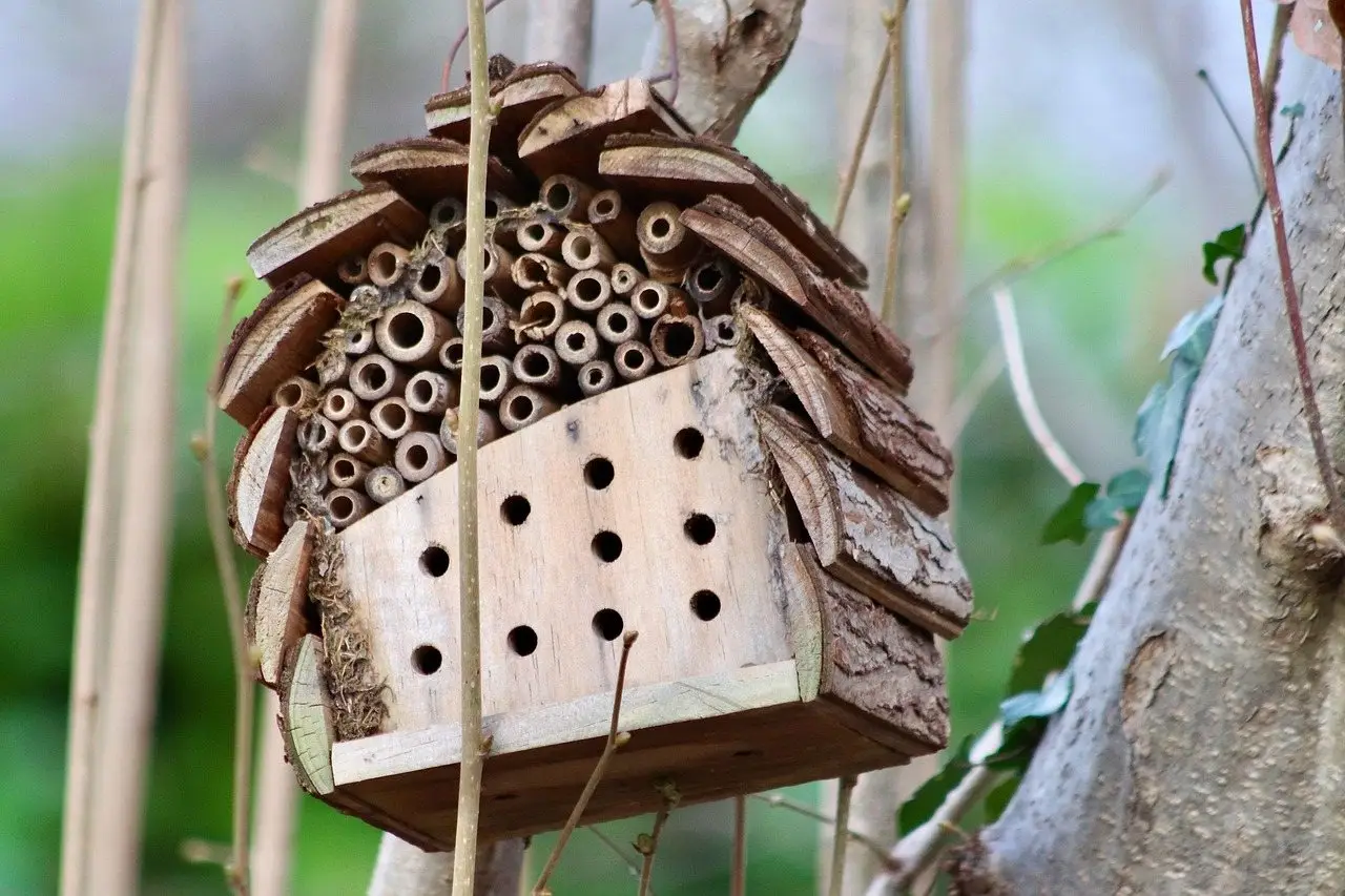 A small bee hotel of cut bamboo tubes and a drilled wooden block, fixed in a tree