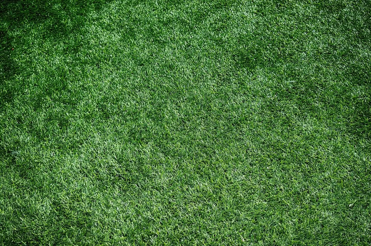 A close, even expanse of synthetic turf fibres
