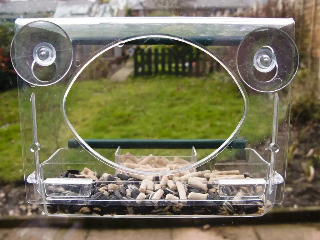 A clear acrylic window bird feeder stuck to glass with suction cups, seed in the tray